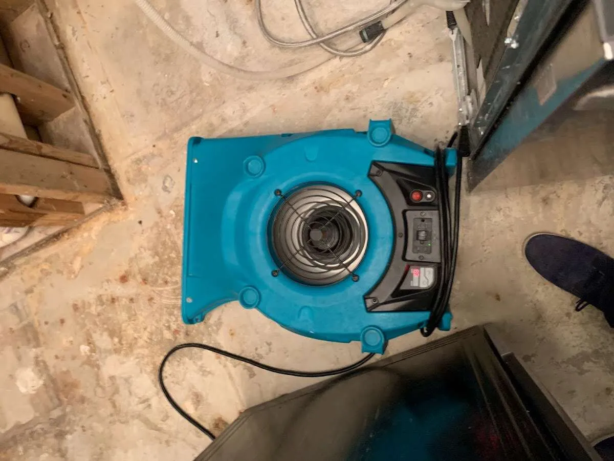 Air mover drying equipment for Mold Remediation & Removal in Palisades Park