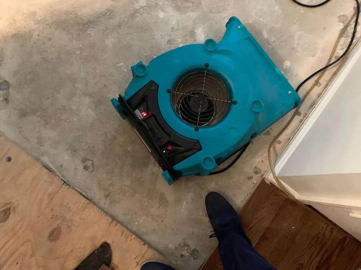 Air mover drying subfloor during Commercial Water Damage Restoration in Palisades Park